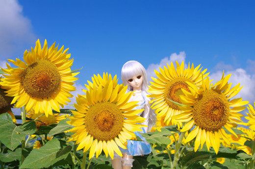 658301 (a): :1927x1280